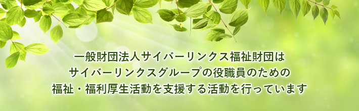 一般財団法人サイバーリンクス福祉財団は、 サイバーリンクスグループの役職員のための福祉、 福利厚生活動を支援する活動を行っております。